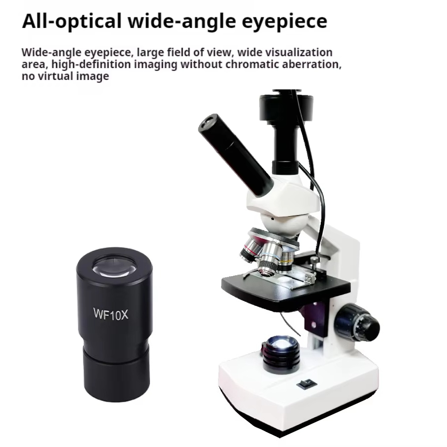 Top Verkauf HD Bildschirm Digi – Medical Lab Bewertung und Preis
